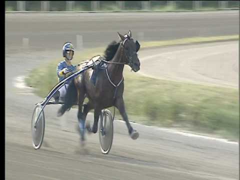 Trotto 10/06/2017 - 4ª corsa