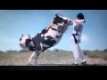 Jackie Chan Fighting With A Cow