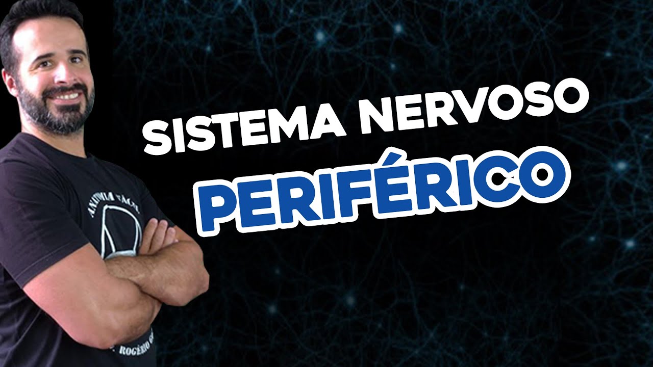SISTEMA NERVOSO PERIFÉRICO, NERVOS CRANIANOS E NERVOS ESPINHAIS