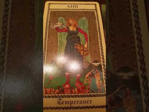 DAILY Psychic Tarot Reading for Monday September 10, 2018