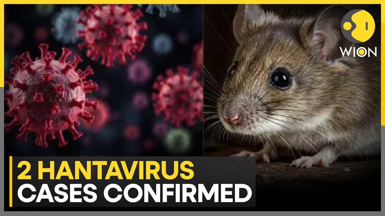 Hantavirus Outbreak Claims Three Lives, Several Others Currently Receiving Medical Treatment | WION