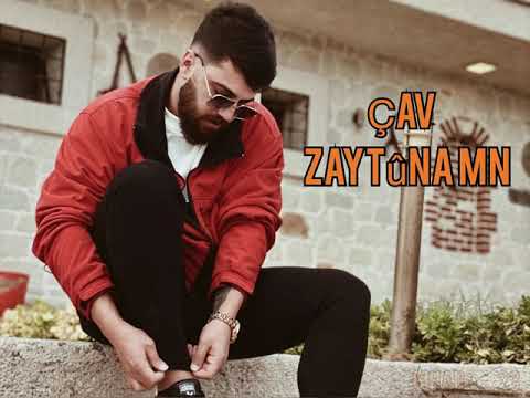 ivan Aslan çav zetûna mn چاف زیتونا من