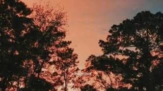 Download lagu SW | STORY WA | ZONA MUSIK mp3