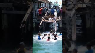 Download lagu Menegangkan! Jembatan Kayu Ambruk, Nelayan Tak Sempat Lari #shorts #shortsviral mp3 Download lagu Menegangkan! Jembatan Kayu Ambruk, Nelayan Tak Sempat Lari #shorts #shortsviral mp3