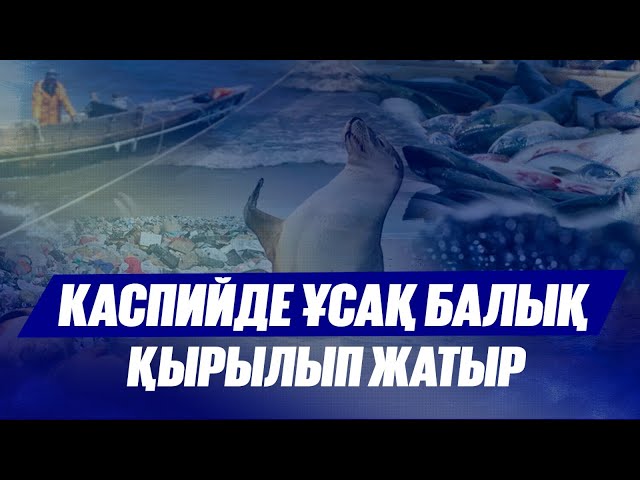 ЖАҢАЛЫҚТАР. 09.07.2025