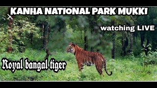 preview picture of video 'KANHA NATIONAL PARK MUKKI LIVE WATCH TIGHER ON JUGAL SAFARI'