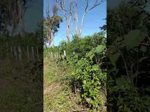 2 De Mayo Misiones Argentina 🇦🇷