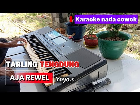 AJA REWEL (YOYO S) TARLING TENGDUNG KARAOKE - NADA COWOK