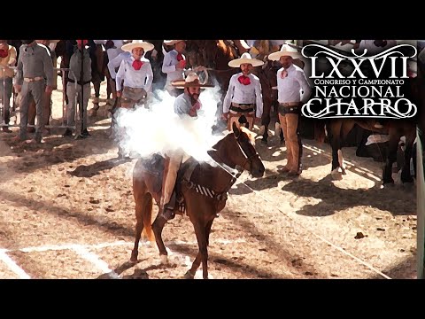 PIALES ON THE CANVAS day 18 (quarterfinals) - Aguascalientes Congress 2021