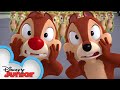 All Goofed Up Chip N Dale S Nutty Tales Disney Junior