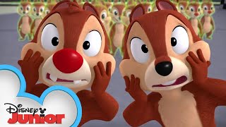 Chip ‘N Dale All Goofed Up! gameplay video by sarahhilton, 2:41 duration
