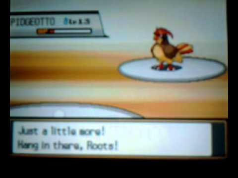 Pokemon SoulSilver Walkthrough Part8