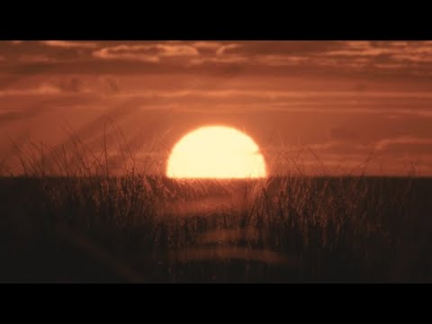 Jake 25.17 - I broke a string making this part [Piano Cover]