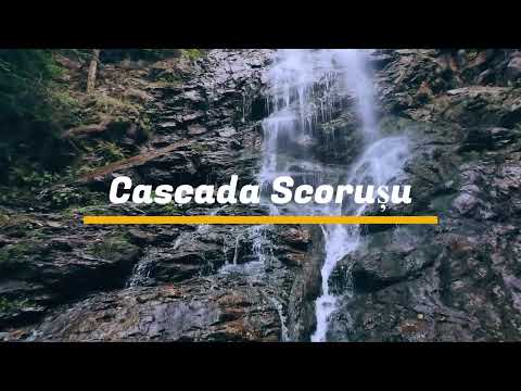 Cascada Scorușu , munții Căpățânii (Scoruș Waterfall)
