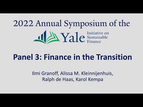 2022 YISF Annual Symposium: Panel 3 on  Finance in the Transition