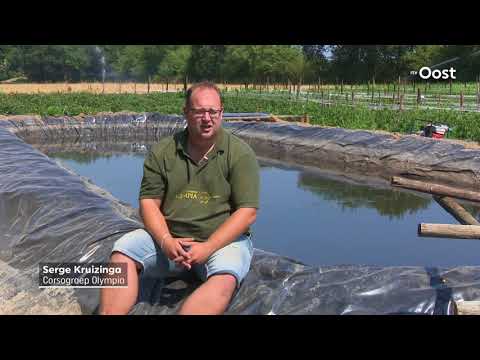 Dahlia's bloemencorso Sint Jansklooster krijgen bij sproeiverbod water uit Flevoland