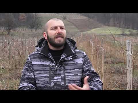 Agro karavan ep.220 - Ariljsko malinogorje - 27.03.2022.