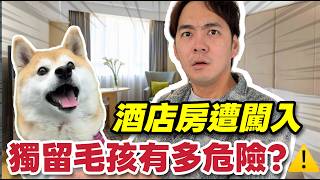 英國治安差驚被爆格🔥酒店竟遭陌生人闖入⚠️獨留柴犬春卷有多危險?陪伴毛孩不留遺憾真實心聲📣