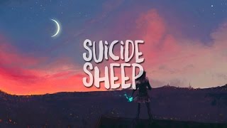 Sound Remedy - Victory (feat. Evvy)