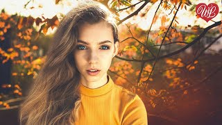 МОЯ ЛЮБОВЬ ♥ ПЕСНИ РУССКОГО РАДИО ♥ РУССКАЯ МУЗЫКА ПОПСА WLV  ♥ POP RUSSISCHE MUSIK WLV