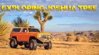 preview picture of video 'Exploring Joshua Tree'