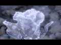 Secret Garden - Frozen in Time