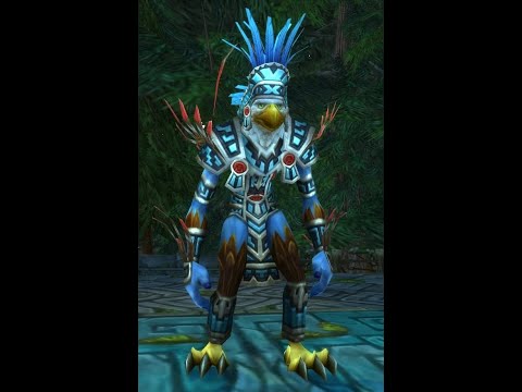 Zul'Aman Akil'zon Protection Paladin Guide