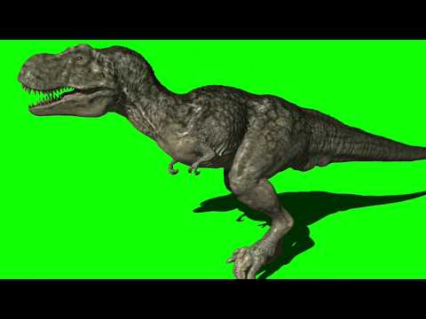 Green Screen T-Rex Video