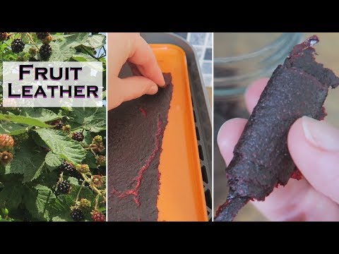 How To Make Blackberry Fruit Leather