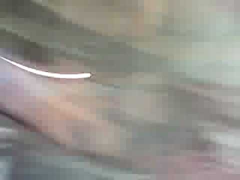 gol alvaro negredo penalti al mallorca