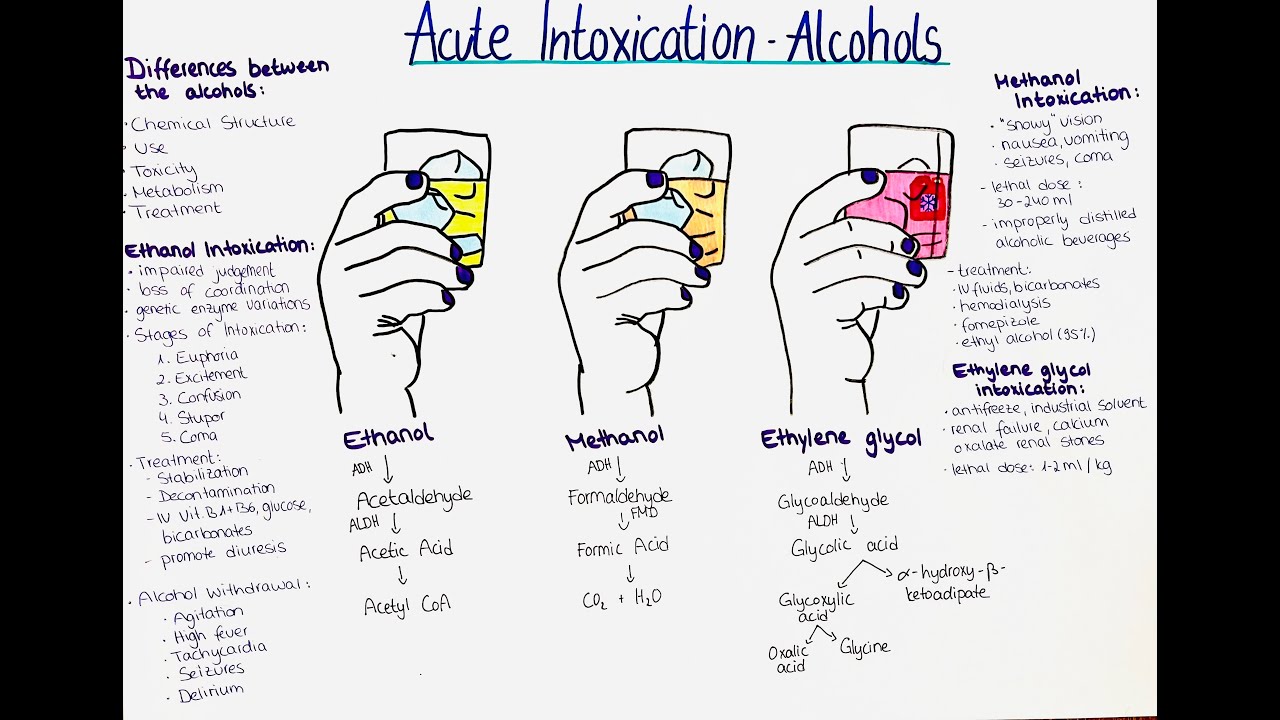 The Dangers of Alcohol Intoxication: Ethanol, Methanol, and Ethylene Glycol