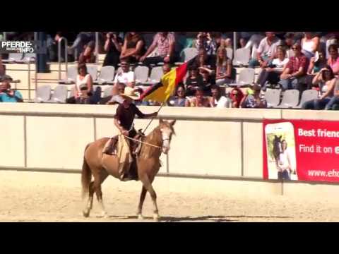 Mustang Makeover 2017 - Svea Kreinberg