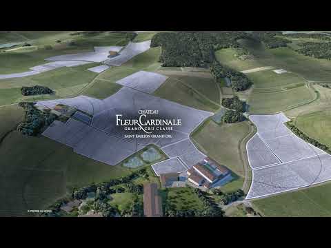 La Maison Cardinale - Château Fleur Cardinale