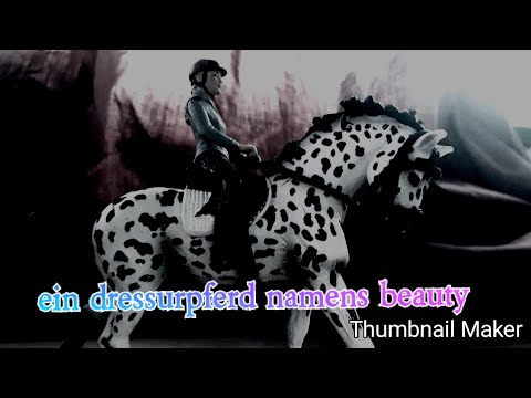 Ein dressurpferd namens beauty💔{kurzfilm}