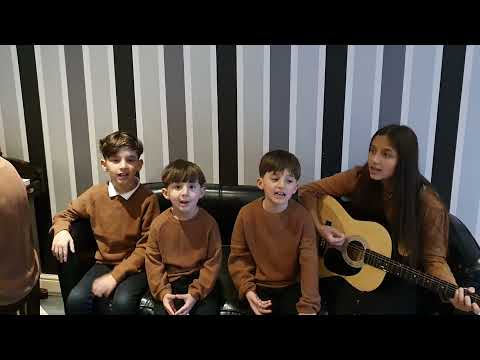 De aceea cânt .(cover David Vitan)