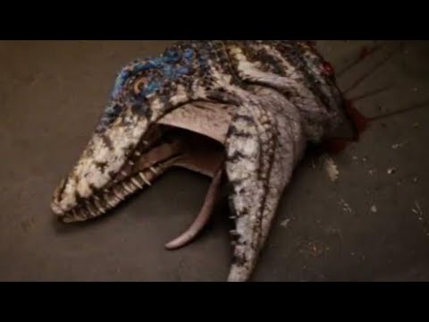 Primeval creatures season 2 - Animal i have become