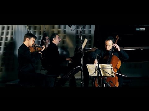 Schubert, Piano Trio No. 2, Op. 100, D. 929, in E-flat Major 2nd mov. - VIENNA PIANO TRIO