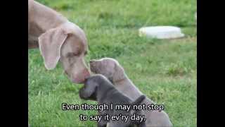 Download lagu I Love You, Mom - Mothers Day Song! mp3