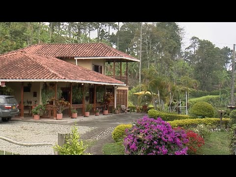 FINCA ORGÁNICA LA VERANERA VEREDA LOS BALSOS   BUENA VISTA   QUINDIO