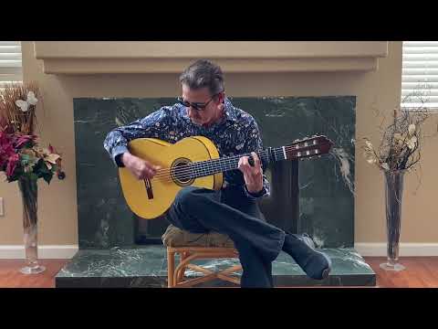 Vahe Flamenco Guitar Blanca, Handcrafted French Polish image 14