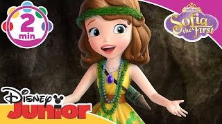 Sofia the First | Sunny Thoughts Song | Disney Junior UK