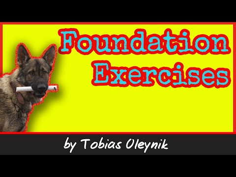Foundation Exercises for IGP (aka. IPO or Schutzhund) Dog Training - by Tobias Oleynik