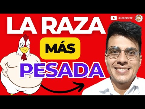 , title : '😁LA MEJOR RAZA DE POLLO DE ENGORDE😱¿CUÁL ES LA RAZA DE POLLO QUE ENGORDA MÁS RÁPIDO?🤩'