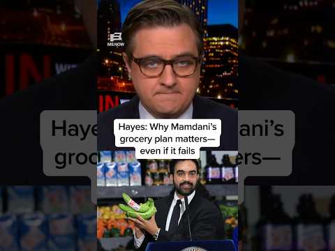 Hayes: Why Mamdani’s grocery plan matters—even if it fails