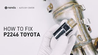 dtc p2246 quickly Fix