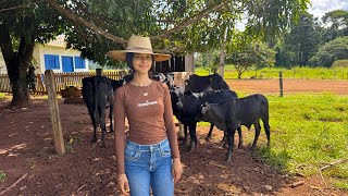 Dia de embarcar as leiteiras / despedida das mimosas 