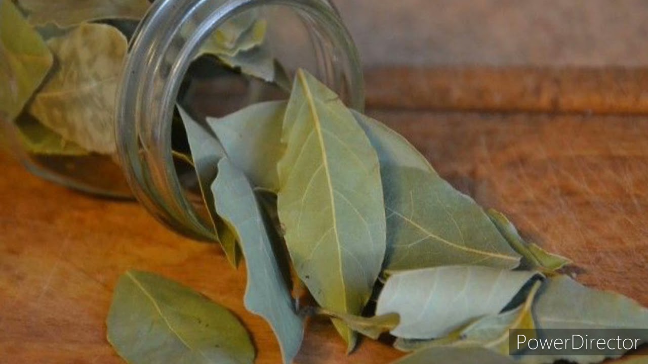 RITO POTENTE CON ALLORO