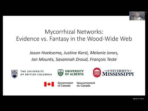 Mycorrhizal Networks: Evidence vs. Fantasy in the Wood-Wide Web