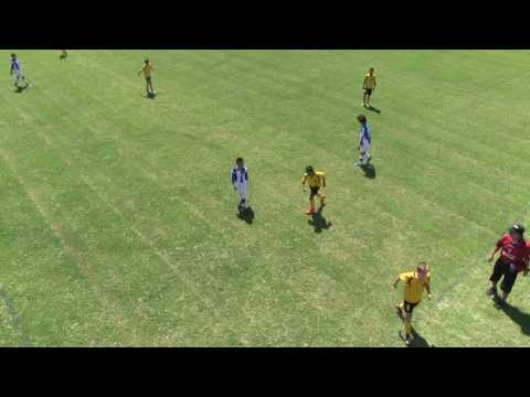 Tuzos Challenge Tournament: Tuzos Academy 05 vs Phoenix Brazas 1st half  09/11/2016