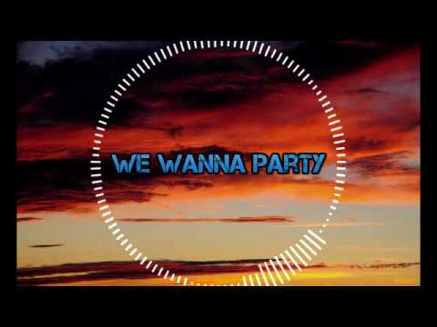 TJR ft. Savage - We Wanna Party (bass boosted)